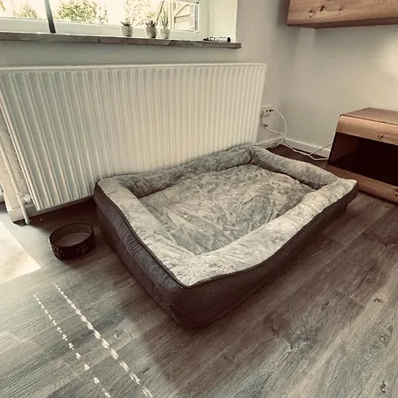 1 - Haus Heinke Am Deich Фридрихског